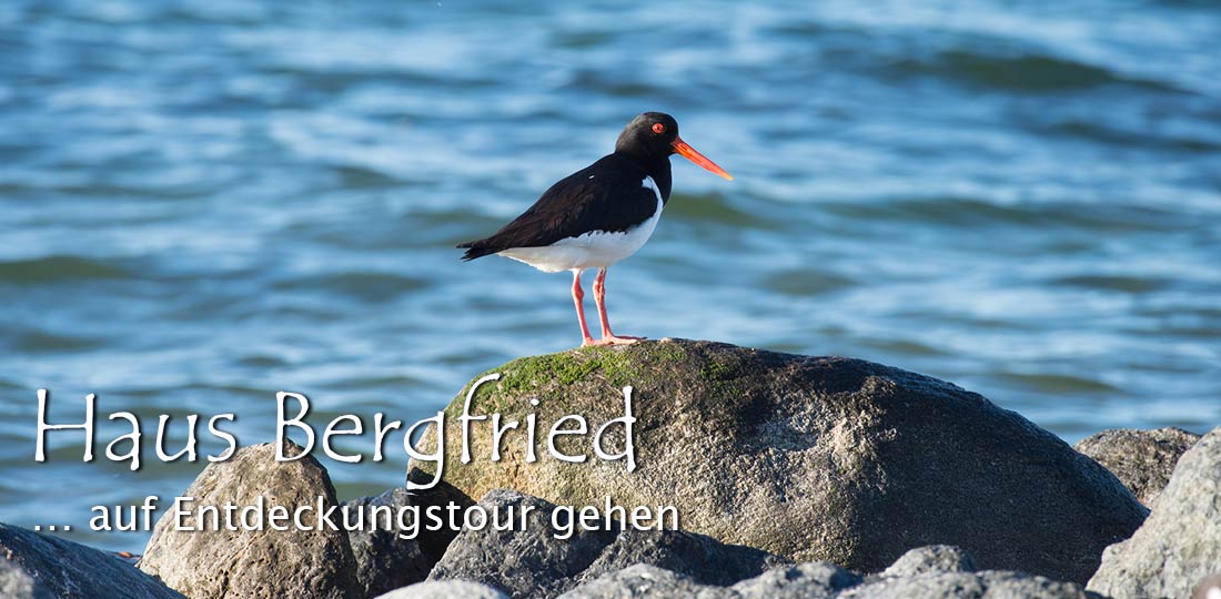 Ostseeurlaub, Natur entdecken