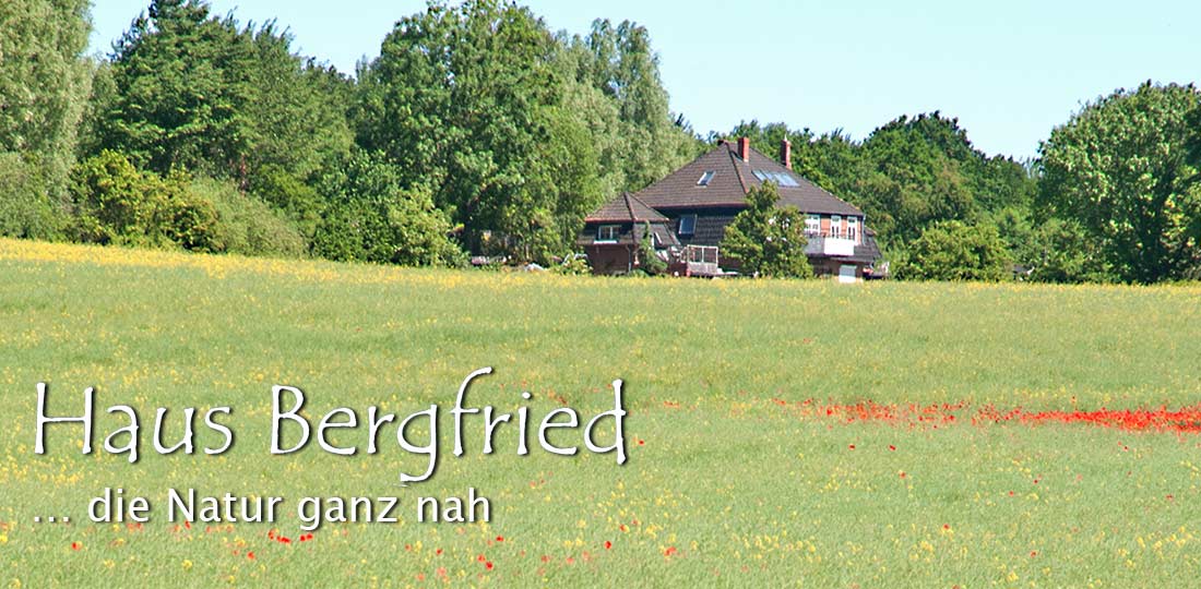 Fewos im Haus Bergfried an der Lübecker Bucht, idealer Ausgangspunkt für den Wanderurlaub und Radtouren